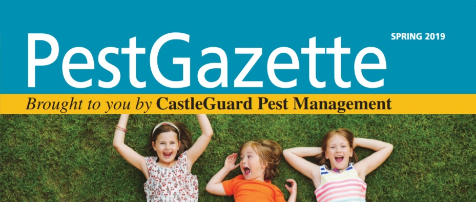 Pest Gazette, Spring 2019