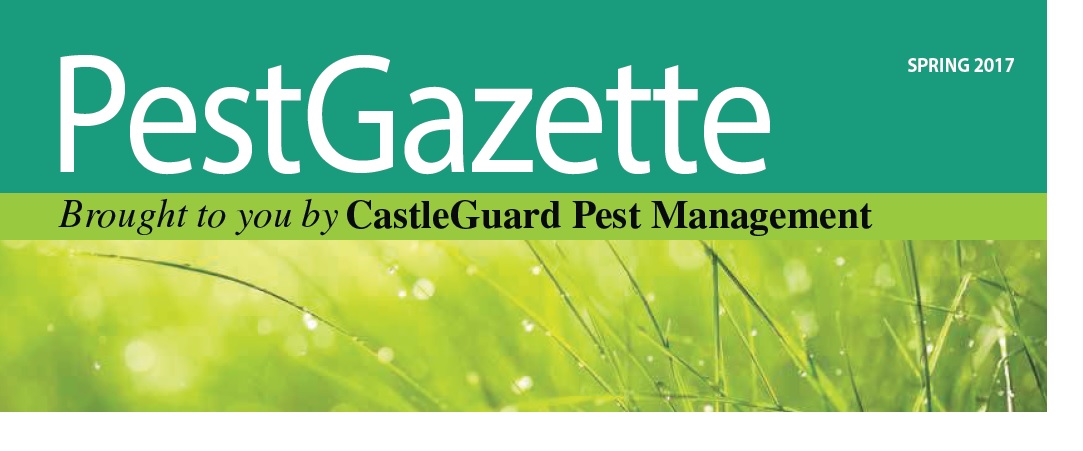 Pest Gazette Spring 2017