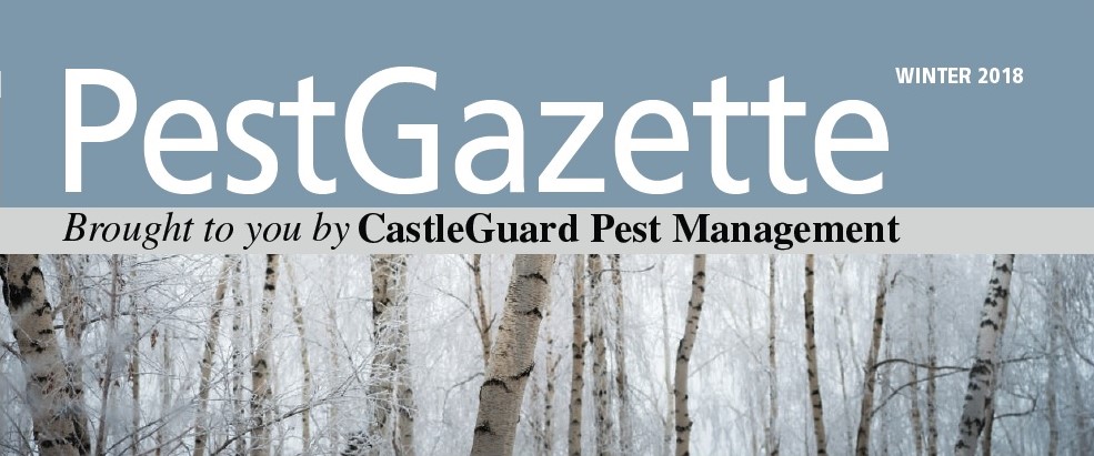 PestGazette, Winter 2018